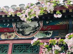 -海棠花溪(元大都城垣遗址公园)