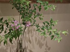 -BOCATA 西班牙餐厅(三里屯店)