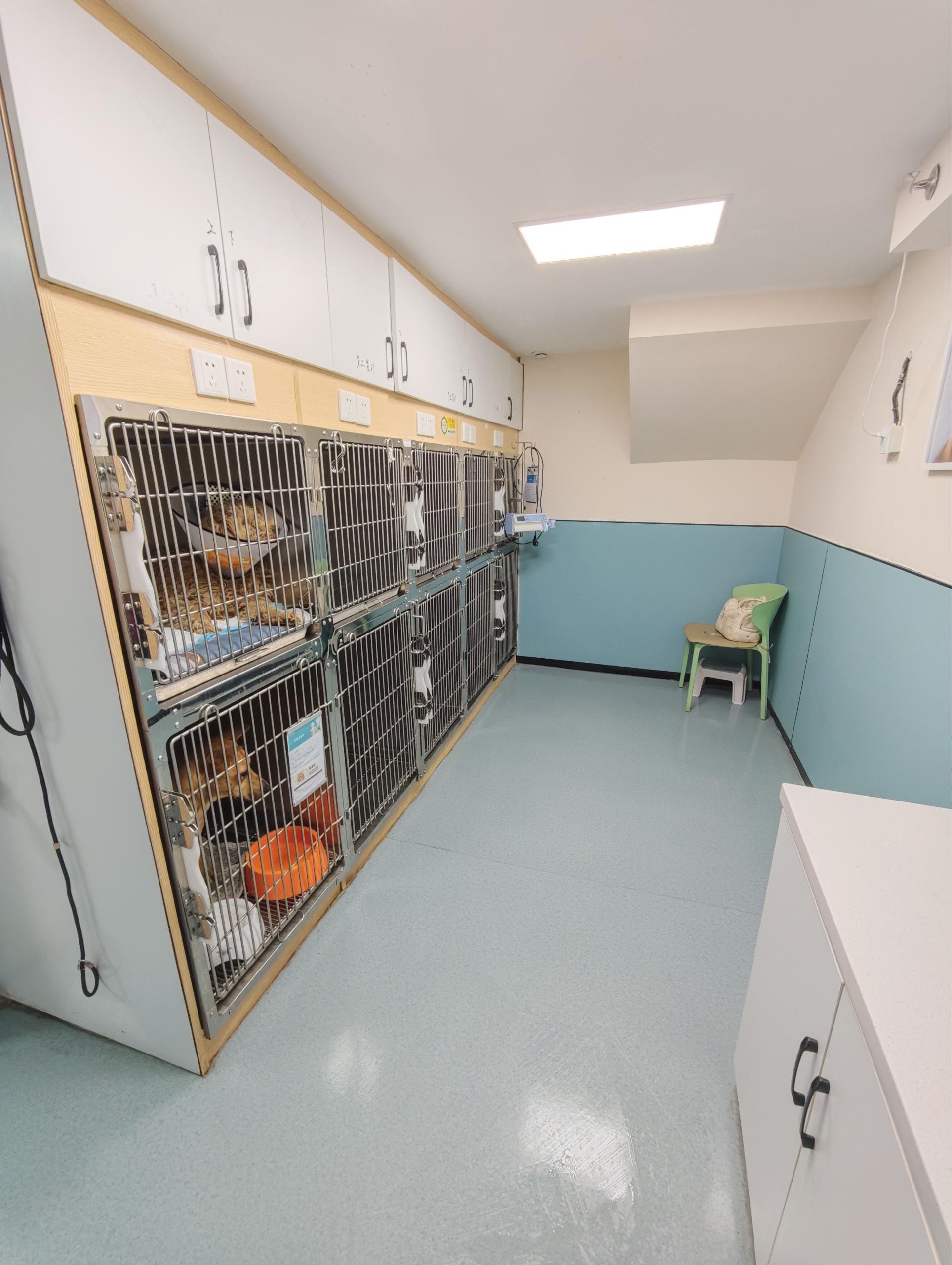 宠物医院也有新装修了