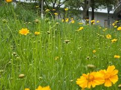 -茅草房·河畔园林火锅