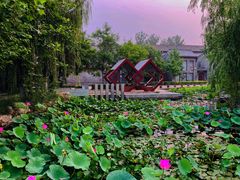 -万源龙顺度假庄园生态观光园