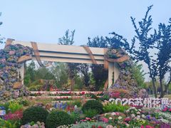 -苏州上方山国家森林公园