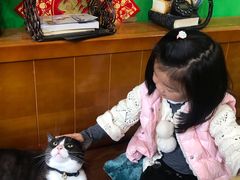 -李小姐の猫咖啡馆(五角场店)