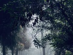 -缙云山景区