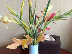 -福建鲤鱼洲酒店