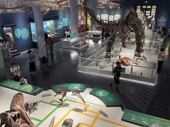 -国家自然博物馆