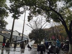 -葑门横街