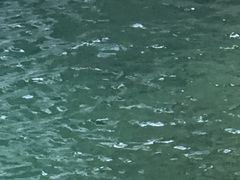 -宁波五龙潭景区