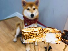 -CHEZ JASMINE 茉莉的氧气厨房