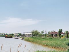 -南大港湿地风景区