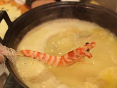 -鲜入围煮花胶鸡海鲜火锅