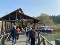 -溱湖国家湿地公园