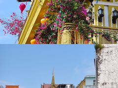 -越南街(万众国际批发市场店)