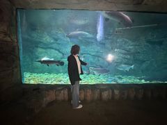 -泉城欧乐堡海洋极地世界