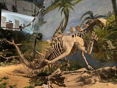 -自贡恐龙博物馆