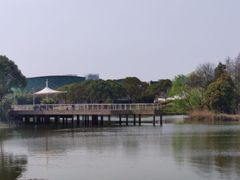 -新江湾城公园