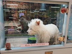 -FAELING PETS美天灵宠物(合生汇店)