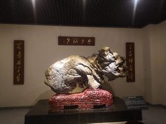 -青岛市博物馆