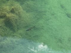 -沕沕水生态风景区