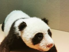 -深圳博物馆历史民俗馆