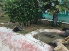 -泉州海丝野生动物世界