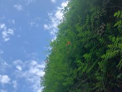 -凤凰御元艺术基地
