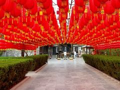 -大槐树寻根祭祖园