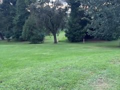 -墨尔本皇家植物园