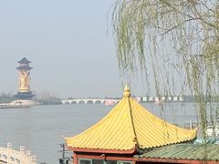 -溱湖国家湿地公园