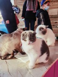 -萌宠亲子动物乐园(槐房万达店)