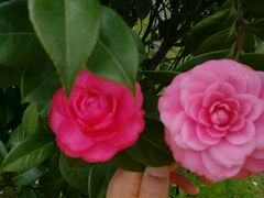 -艾溪湖湿地公园