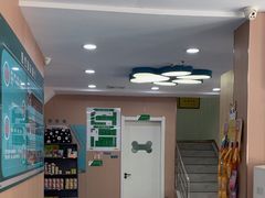 -天使宠物医院·犬猫分诊(彩虹店)