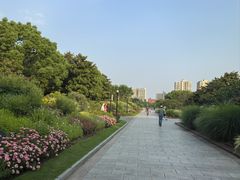 -黄兴公园