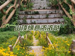 -青龙山国家森林公园