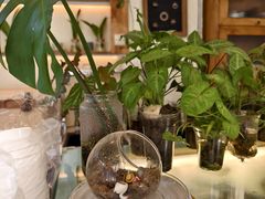 -绿小院(荔湾店)