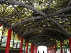 -止园酒店-中餐厅