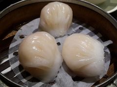 -糖朝(尖沙咀店)