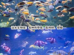 -南昌海洋公园