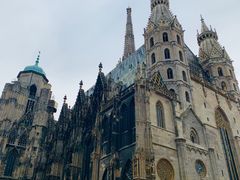 -斯蒂芬主教座堂(Stephansdom)
