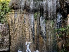 -西双版纳原始森林公园