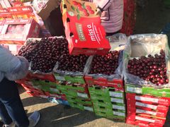 -西北农副产品中心批发市场(广安路店)