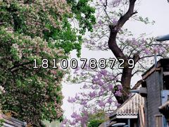 -秋栗香(地安门店)