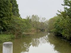 -溱湖国家湿地公园