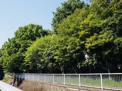 -井之头恩赐公园