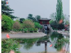-国家植物园南园