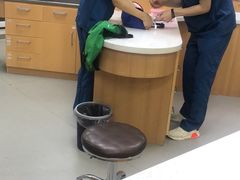 -联合动物医院(光谷诊疗中心)