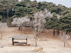 -沈阳森林动物园