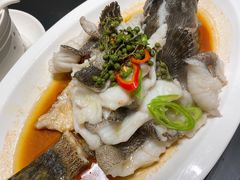 青花椒蒸龙胆鱼-闽和南(深圳万象城店)