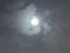 -杨家崴子碳缸烧烤(东三马路店)