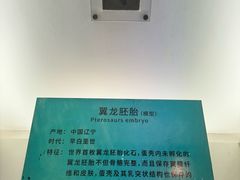 -安徽省地质博物馆